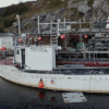 fishboat.gif